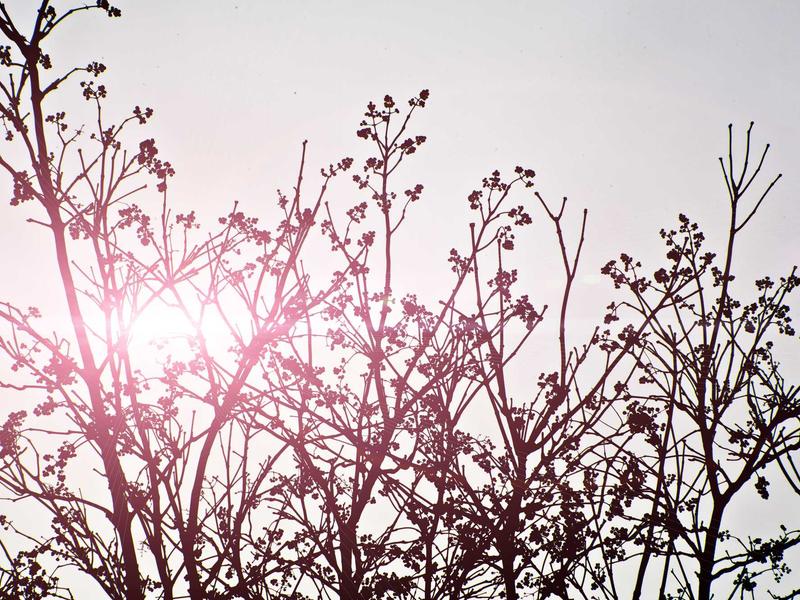 android screenshot 6